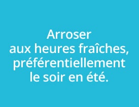 Astuce jardinier 2